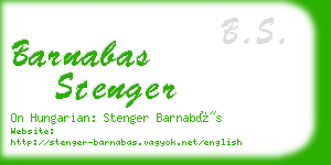 barnabas stenger business card